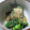 えみんちゅ＊'s cooksnap of when they made ほうれん草のゴマ和え.