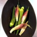 朔蔵Kitchen's cooksnap of when they made オクラの浅漬け.