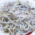 ふうはっちゃん's cooksnap of when they made ゆかりもやし★サラダ、おつまみ、お弁当に.