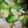 らっきー！'s cooksnap of when they made すぐできちゃう！オニオンスープ.