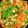 ぷっくりんご's cooksnap of when they made 混ぜて焼くだけ！青椒肉絲.