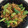 ちょ〜☆'s cooksnap of when they made ししとうのおじゃこ炒め.