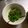 ひろの's cooksnap of when they made ピリ辛の無限ピーマン.