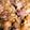 クックIP1COY☆'s cooksnap of when they made ☆簡単鶏レバーと玉ねぎの甘辛煮！！.