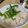 +ちぃ+'s cooksnap of when they made 帆立と梅干しの炊き込みご飯.