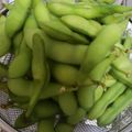 芋けんぴ大好き's cooksnap of when they made 枝豆の美味しいゆで方.