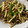 kaogege's cooksnap of when they made 青椒肉絲風☆簡単☆牛肉とピーマンの炒め物.