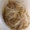 ユカtoマオマオ's cooksnap of when they made もやしのイタリアンマリネ.