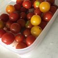 クックノンパパ's cooksnap of when they made プチトマト長持ち.