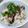 かんなずき's cooksnap of when they made 牡蠣ご飯.