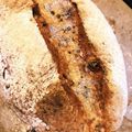 木漏れ日の台所's cooksnap of when they made ゴルゴンゾーラはちみつクルミパン.