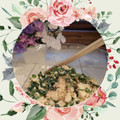 ダッフィーニーうに's cooksnap of when they made ほうれん草とくずし豆腐の胡麻味噌和え.
