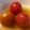 ぽぷらはっぱ's cooksnap of when they made 『幼児食』簡単・絶品！ミニトマトのマリネ.