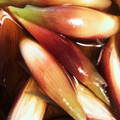 マールマル's cooksnap of when they made みょうがの甘酢漬け.