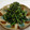 うりとく's cooksnap of when they made ほうれん草の黒胡麻和え.