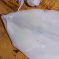 のぶ代's cooksnap of when they made いかのさばき方。簡単に出来ますよ～☆.