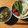 まりあっち☆★☆★'s cooksnap of when they made まるごと出汁トマト.