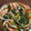 米の華's cooksnap of when they made ほうれん草とかにかまの酢の物.