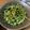 nina_scm's cooksnap of when they made 美容に良いかも？！豆苗とみょうがのサラダ.