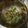 クックR8MVCG☆'s cooksnap of when they made オクラで簡単！マヨおかか和え(^^).