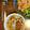 nicosimple's cooksnap of when they made ５分でできる！しいたけとトマトのスープ.