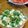 ざじよ's cooksnap of when they made オクラと山芋のたらこ和え.
