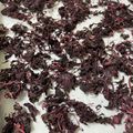 ☆あいちゃん's cooksnap of when they made 簡単！オーブンで乾燥！自家製ゆかり.