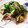 クックゆ〜ほキッチン's cooksnap of when they made 牛モモ肉と豆苗の中華炒め.