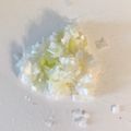 3yes's cooksnap of when they made ＊基本の切り方＊みじん切り（長ねぎ）.