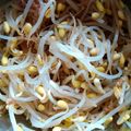 sawa＊sawa's cooksnap of when they made もやしだけ！白だしで簡単おひたし.