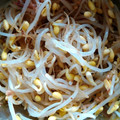 sawa＊sawa's cooksnap of when they made もやしだけ！白だしで簡単おひたし.
