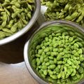 やさいのようせい's cooksnap of when they made 枝豆の美味しい茹で方と冷凍保存.