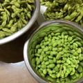 やさいのようせい's cooksnap of when they made 枝豆の美味しい茹で方と冷凍保存.