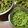 やさいのようせい's cooksnap of when they made 枝豆の美味しい茹で方と冷凍保存.