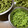 やさいのようせい's cooksnap of when they made 枝豆の美味しい茹で方と冷凍保存.