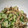 クック7FNN0F☆'s cooksnap of when they made お家居酒屋のつきだし・鱧の皮の三杯酢♪.