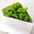 ❊プゥ❊'s cooksnap of when they made 【便利】フリルレタスの保存☆.