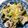 Marmo's cooksnap of when they made No2608茄子と豚の冷しゃぶネギソース.