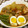 youtapapa's cooksnap of when they made 大根と厚揚げベーコンの味染み煮物.