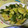 kaaaaawd's cooksnap of when they made 簡単！たたききゅうり♪.