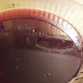うが11's cooksnap of when they made 簡単☆１００％ジュースでゼリー.