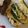 クックUL8OCM☆'s cooksnap of when they made 抹茶ティラミス♪カステラ使用で簡単です.