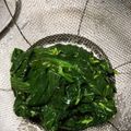 プチシュ's cooksnap of when they made 【簡単時短】モロヘイヤのゆで方♡おひたし.