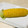でゅるけむ's cooksnap of when they made とうもろこしの茹で方.