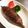 chocoraママ's cooksnap of when they made 原始人のお肉（ハンバーグ）.