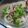 Kayadehutt's cooksnap of when they made パクウマ♪レタスと大根の無限サラダ.