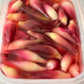 くみｯﾁ's cooksnap of when they made みょうがの甘酢漬け.