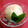 Y✿えくぼ飯's cooksnap of when they made 桃の皮と種の綺麗な取り方♡丸ごと桃タルト.