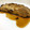 ☆ねこぽよ☆'s cooksnap of when they made ごはんがすすむ。 カレイの煮付け.