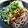 azbjbn's cooksnap of when they made 最速の冷やし納豆おろし蕎麦.